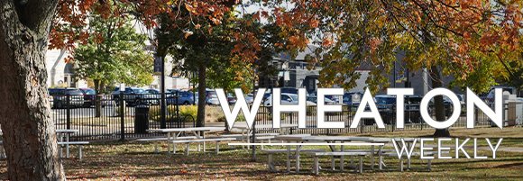 Wheaton Weekly Header - Fall Leaves at Memorial Park