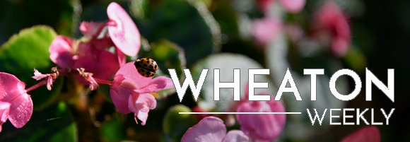 Wheaton Weekly Header with Flowers