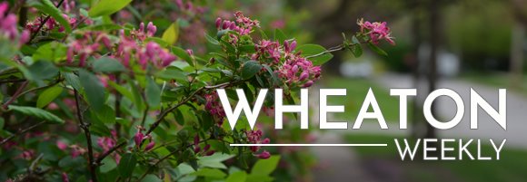 Wheaton Weekly