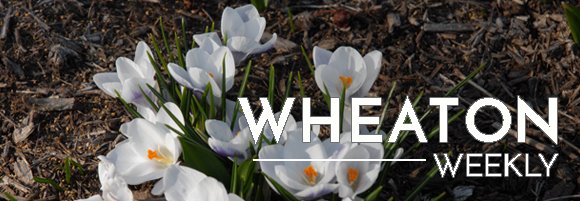 Wheaton Weekly