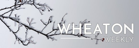 Wheaton Weekly Header - Tree Branch