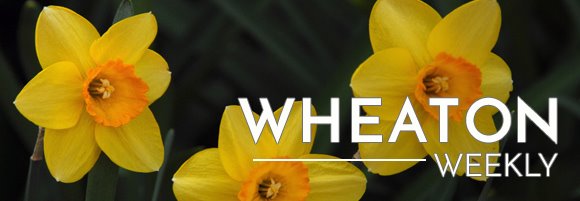 Wheaton Weekly Header