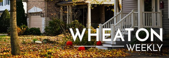 Wheaton Weekly Header - Fall Leaves
