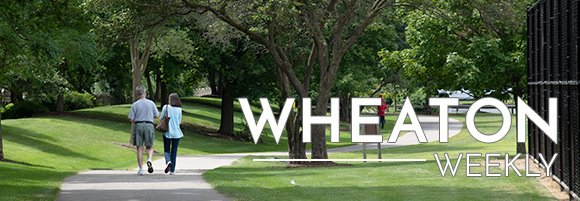 People Walking in the Park