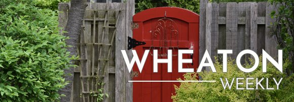 Wheaton Weekly