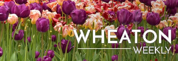 Wheaton Weekly