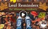 Leaf Reminders