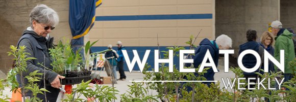 Wheaton Weekly Header - Native Plant Sale Attendee