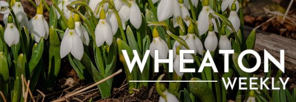 Wheaton Weekly Header