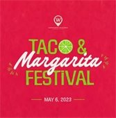 Taco Festival Graphic