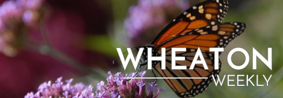 Wheaton Weekly