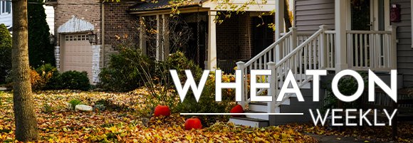 Wheaton Weekly Header - Fall Leaves