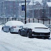 Cars Parked in Snow