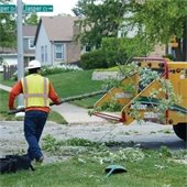 Crew Member Performing Storm Cleanup