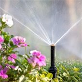Lawn Sprinkler
