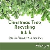 Christmas Tree Recycling Now Open Graphic