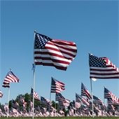 American Flags