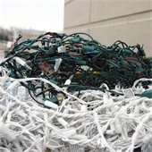 Holiday Lights Recycled in a Bin