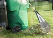 Yard Waste