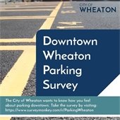 Parking Survey Graphic