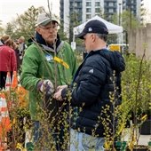 Native Plant Sale Attendee