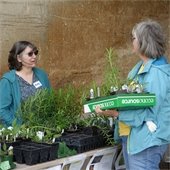 Native Plant Sale Attendee