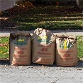 Yard Waste Bags at Curb