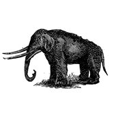 Mastodon