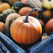 Two office professionals at a desk.