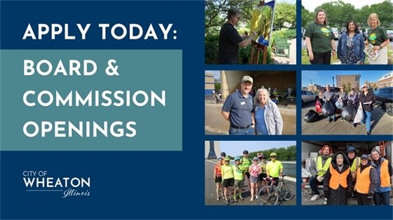Apply today - board & commission openings