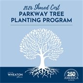 Graphic titled “2026 Shared Cost Parkway Tree Planting Program” on a light blue background. A large white stylized tree with many leaves and visible roots is centered. At the bottom, a dark blue band includes the City of Wheaton, Illinois logo on the left and the “America 250 Illinois” logo on the right.