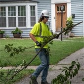 Worker Cleaning Damged Trees Off Roadway