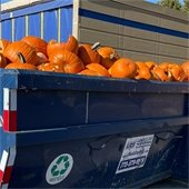 Pumpkin Composting