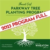 Tree Planting Program Full - Graphic 