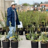 Native Plant Sale Employee