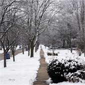 Snowy Neighborhood