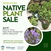 Native Plant Sale Ad
