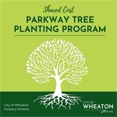 Tree Planting Program Graphic